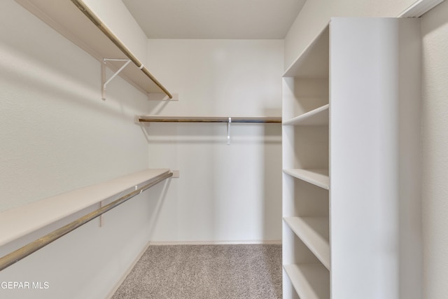 13824 Hollywood Dr, Horizon City, TX 79928 - spacious closet with carpet floors