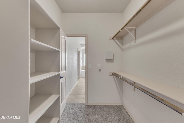 13824 Hollywood Dr, Horizon City, TX 79928 - walk in closet with light colored carpet