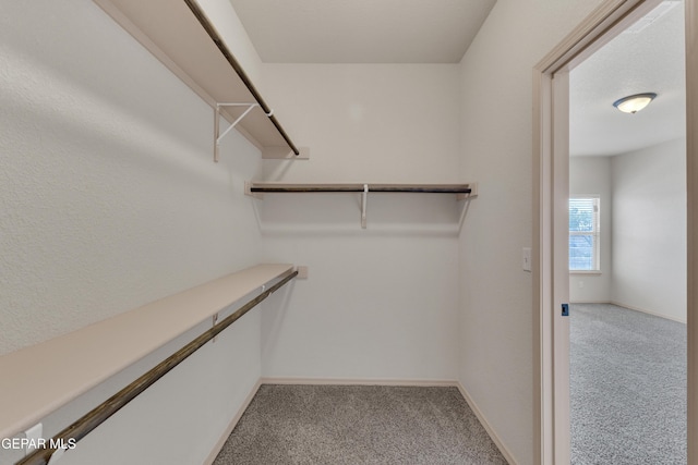 13824 Hollywood Dr, Horizon City, TX 79928 - spacious closet with carpet
