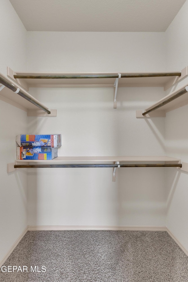 13824 Hollywood Dr, Horizon City, TX 79928 - spacious closet featuring carpet flooring