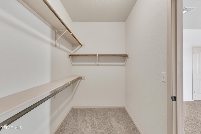 13824 Hollywood Dr, Horizon City, TX 79928 - walk in closet featuring carpet
