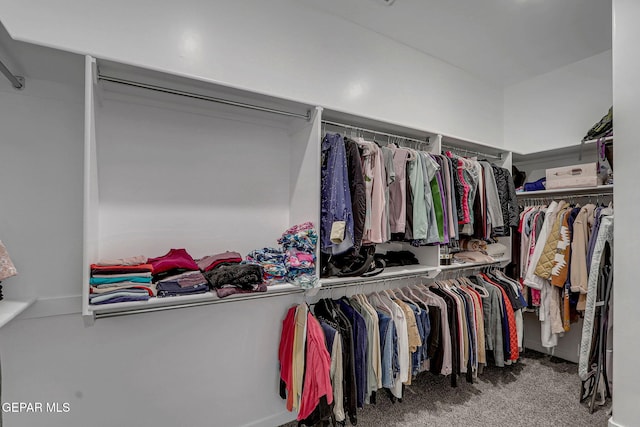 spacious closet featuring carpet floors