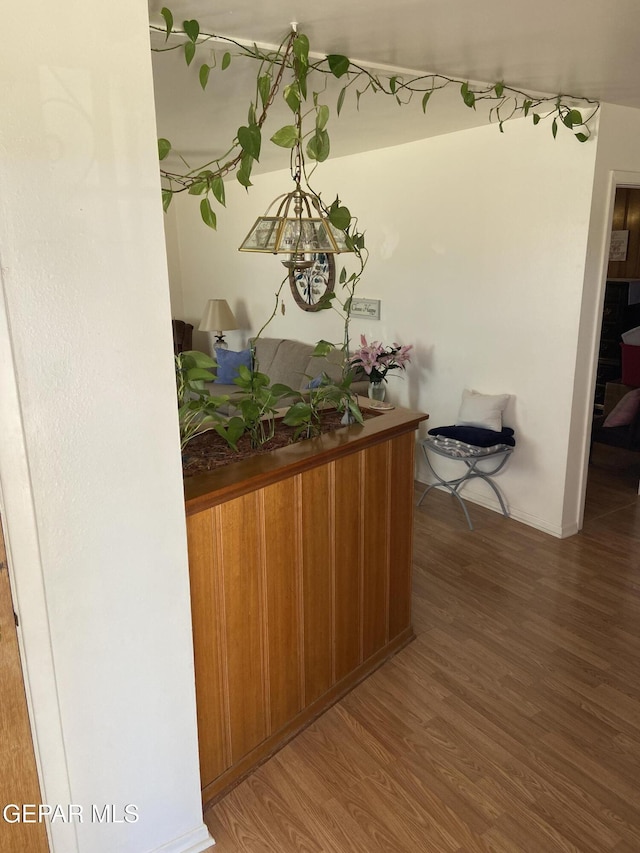 bar area with wood finished floors