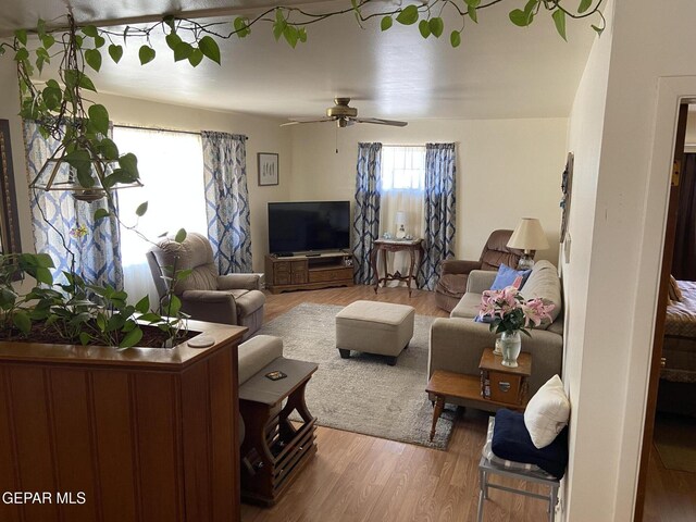 living room featuring wood finished floors and ceiling fan