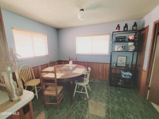3433 Dialrock Ln, El Paso, TX 79935 - dining area featuring a textured ceiling, plenty of natural light, and wooden walls