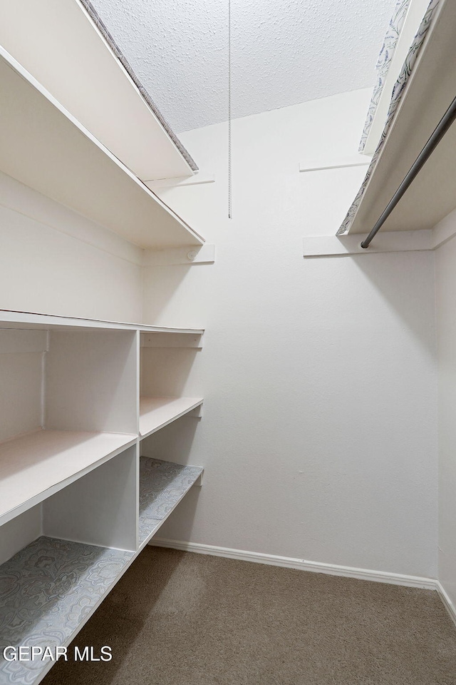 walk in closet featuring carpet floors