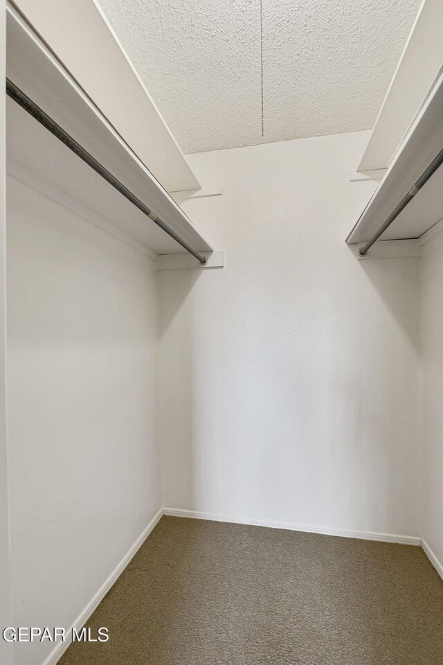 walk in closet with carpet flooring