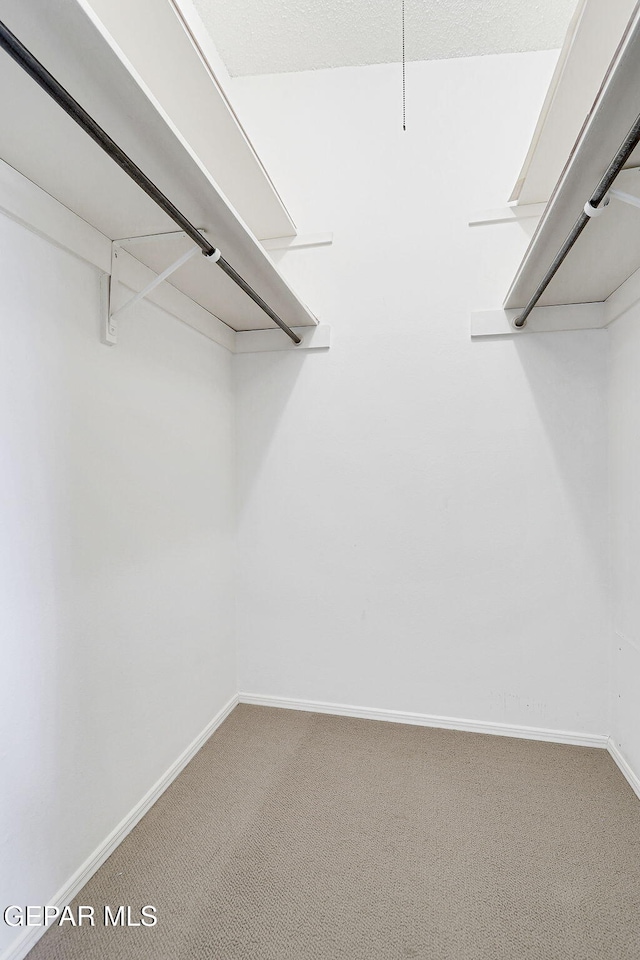 walk in closet featuring carpet