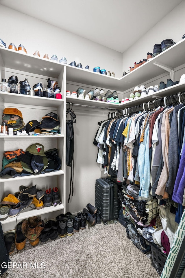 walk in closet with carpet