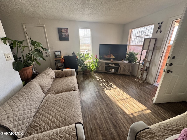 10620 Cuatro Vistas Dr Unit A, El Paso, TX 79935 - living area featuring a textured ceiling and wood finished floors