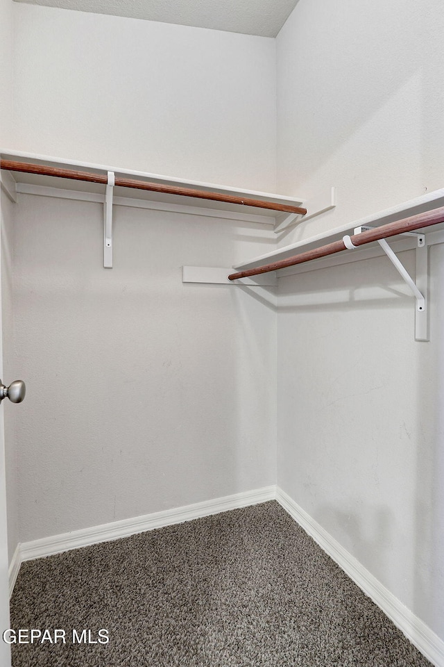 3136 Hawk Point Pl, El Paso, TX 79938 - spacious closet with carpet