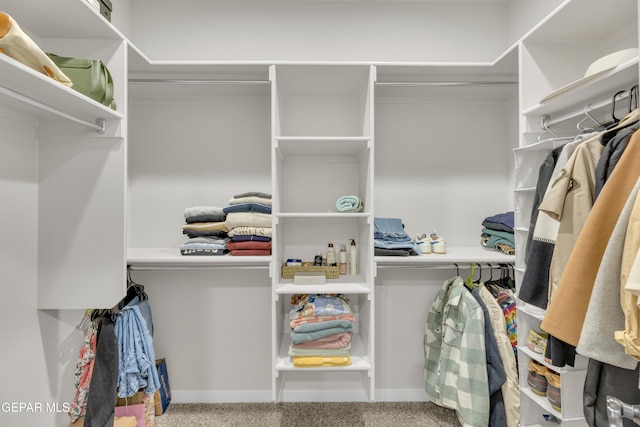 view of spacious closet