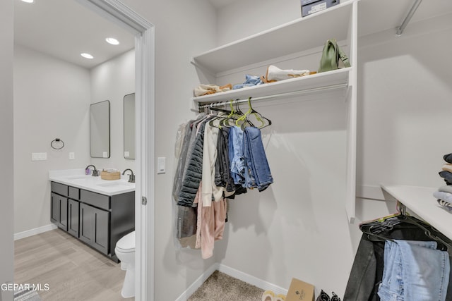 walk in closet featuring a sink and light wood-style floors