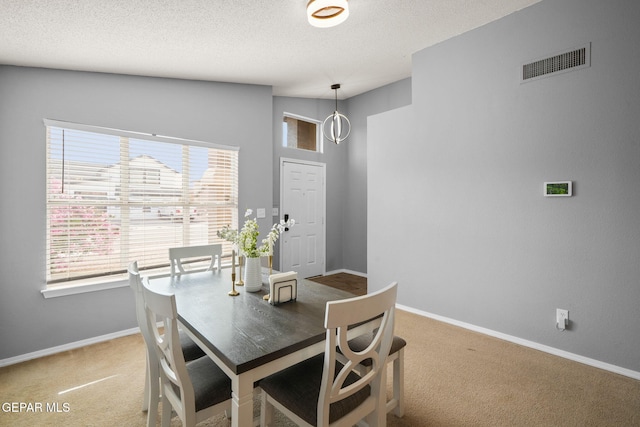 dining area featuring carpet floors, baseboards, healthy amount of natural light, and a textured ceiling