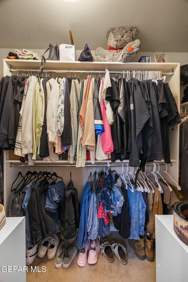 spacious closet with carpet