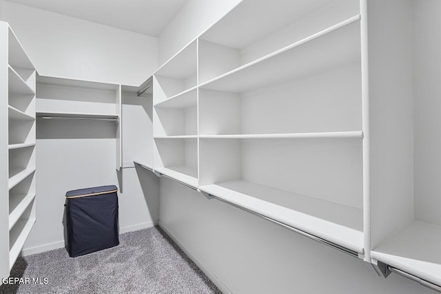 walk in closet with carpet