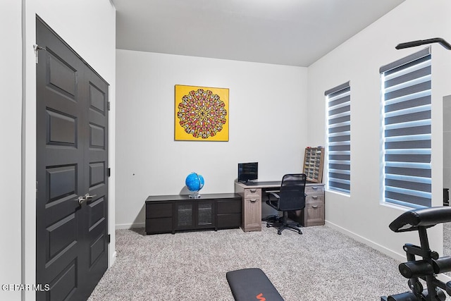 office space featuring carpet flooring and baseboards
