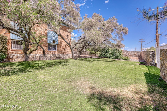 8024 Tonto Pl, El Paso, TX 79904 - view of yard