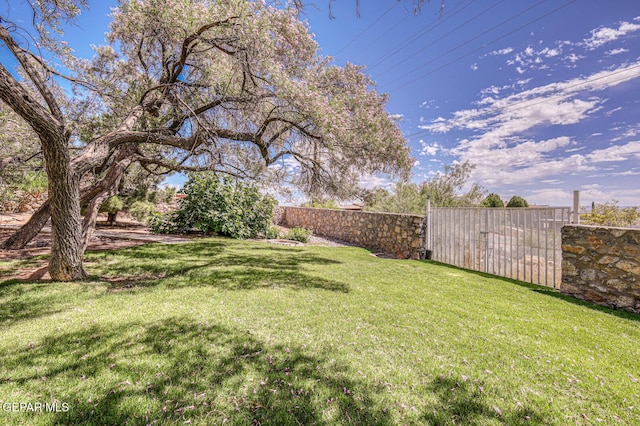 8024 Tonto Pl, El Paso, TX 79904 - view of yard