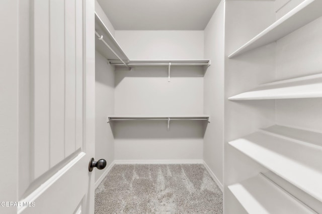 3096 Java Chip Pl, El Paso, TX 79938 - walk in closet featuring carpet flooring