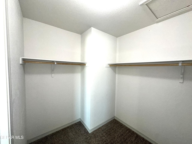 13192 Lost Willow, El Paso, TX 79938 - walk in closet featuring dark carpet and attic access