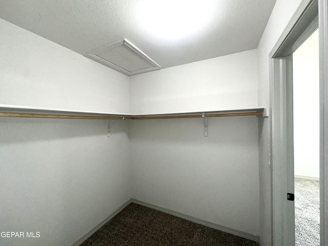 13192 Lost Willow, El Paso, TX 79938 - walk in closet with dark colored carpet and attic access