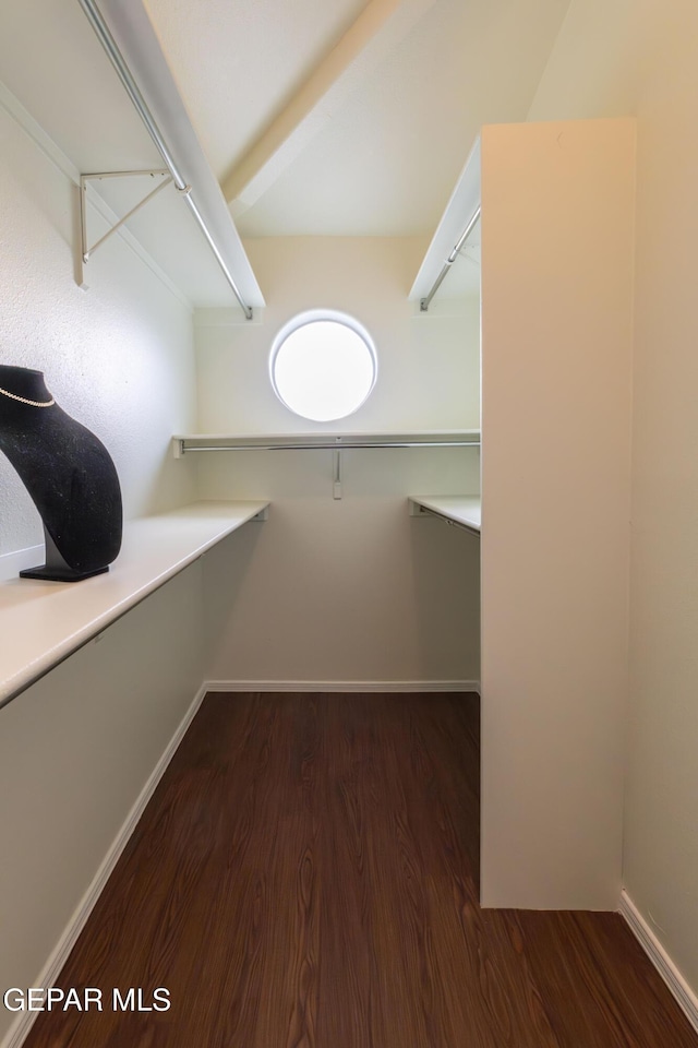 walk in closet featuring wood finished floors