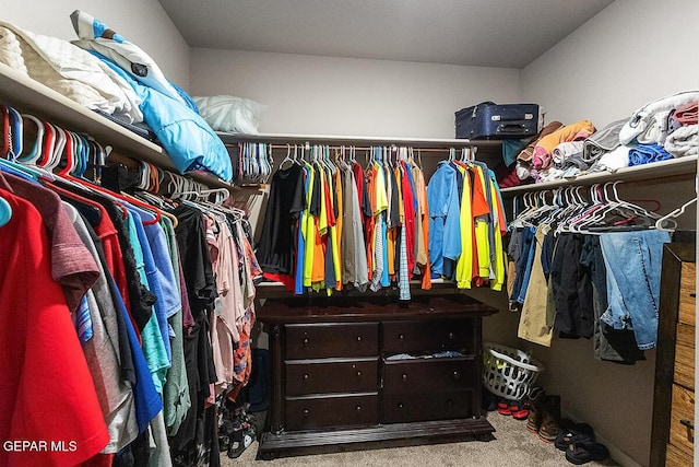 14840 Pebble Hills Blvd, El Paso, TX 79938 - walk in closet featuring carpet flooring