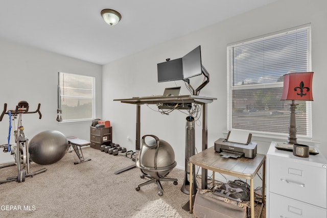exercise area with carpet and baseboards