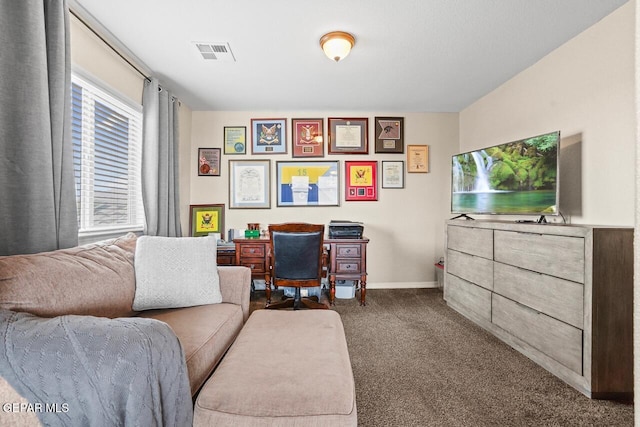 5525 Valley Cedar Dr, El Paso, TX 79932 - office area with dark carpet