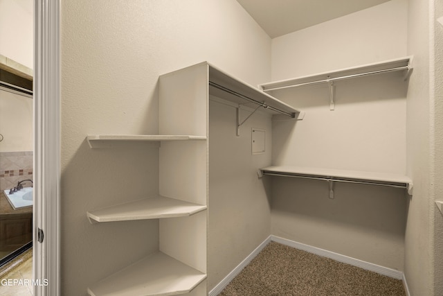14117 Rainbow Point Dr, El Paso, TX 79938 - walk in closet featuring light carpet