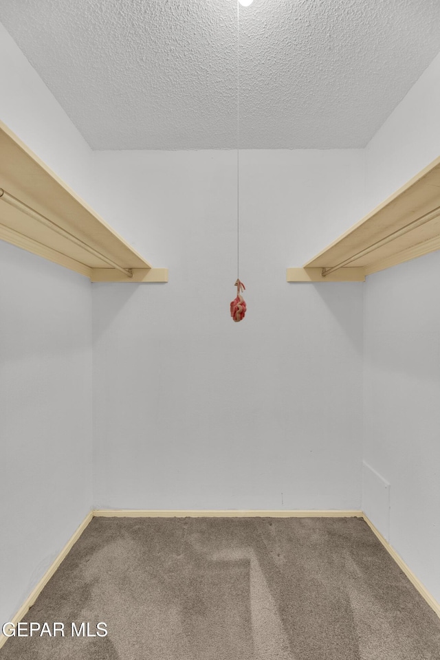 spacious closet with carpet flooring