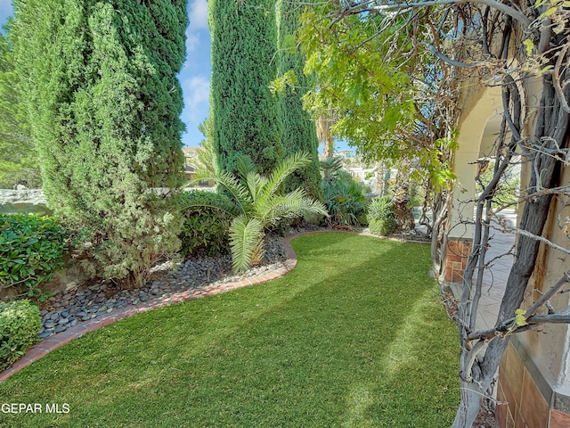 852 Cresta Alta Dr, El Paso, TX 79912 - view of green lawn