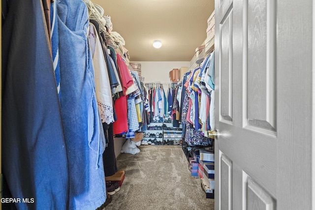 spacious closet with carpet flooring