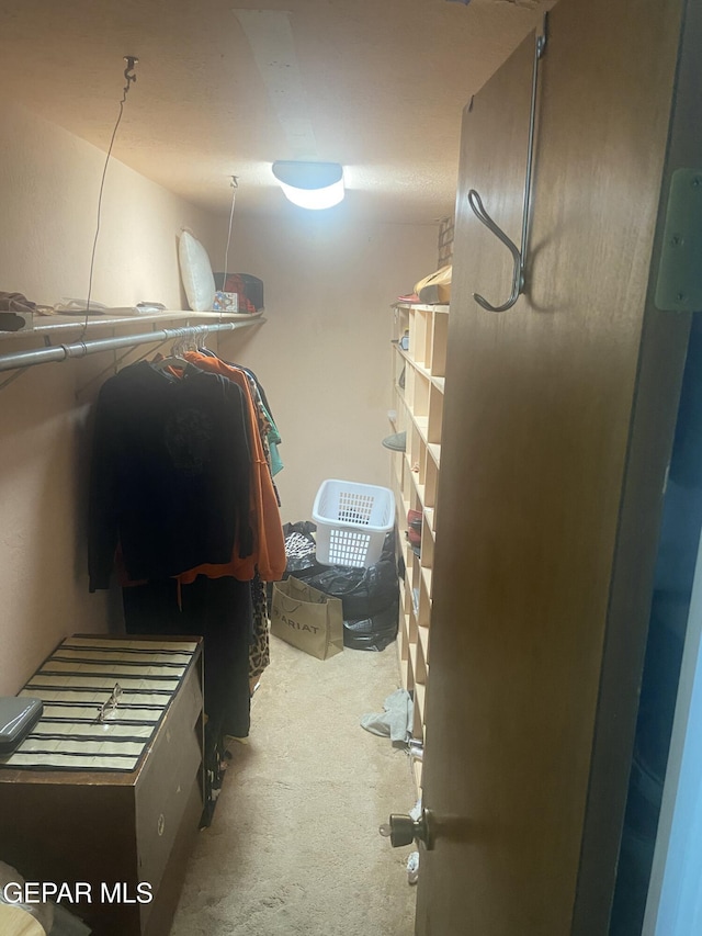 spacious closet with carpet floors