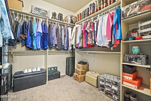 7421 Dewberry Dr, El Paso, TX 79911 - spacious closet featuring carpet flooring