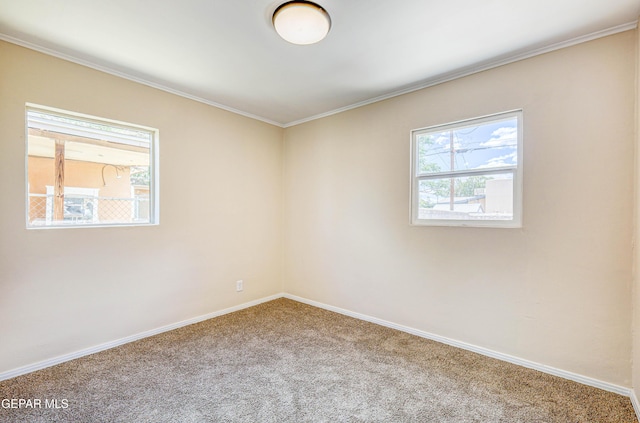 empty room featuring carpet, baseboards, and ornamental molding