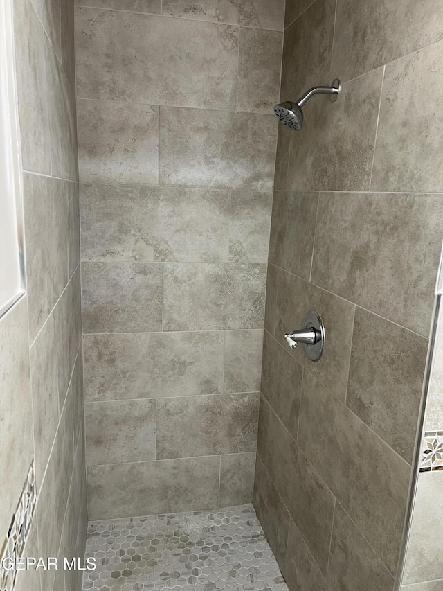 6044 Cabrillo Dr, El Paso, TX 79912 - bathroom featuring a tile shower