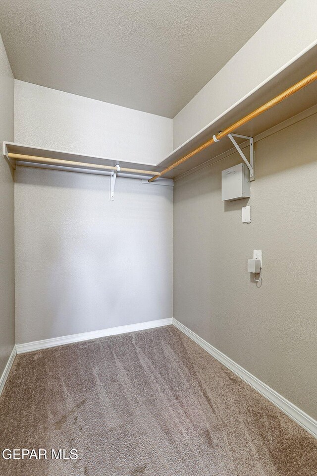 13001 Lost Willow, El Paso, TX 79938 - walk in closet featuring carpet flooring
