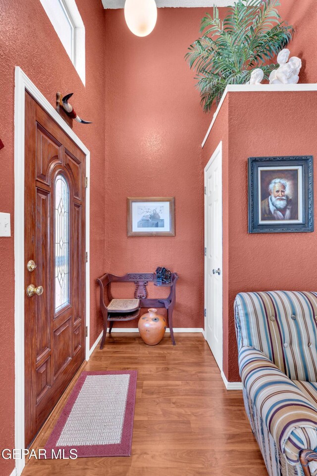 12273 El Greco Cir, El Paso, TX 79936 - entryway with wood finished floors, baseboards, healthy amount of natural light, a textured wall, and a high ceiling