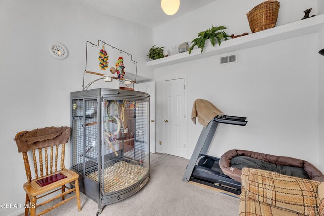 12273 El Greco Cir, El Paso, TX 79936 - workout area with carpet floors