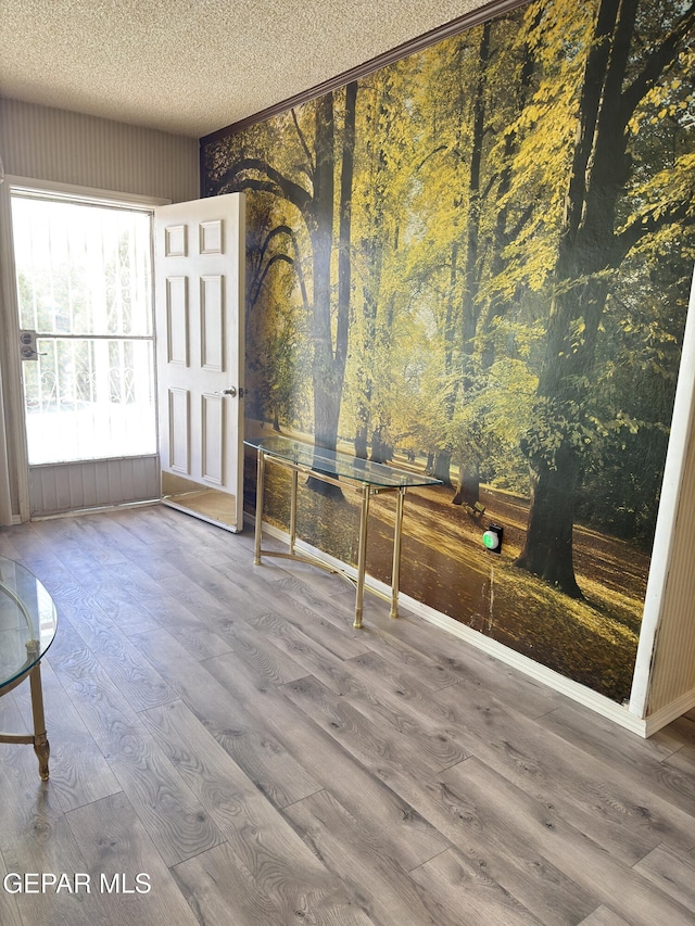 foyer featuring wood finished floors and a textured ceiling