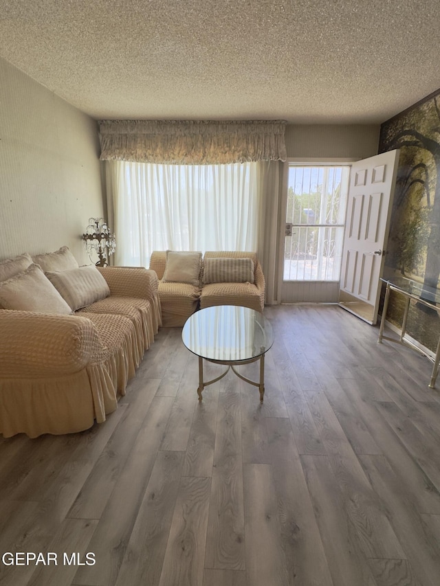 living room featuring a textured ceiling and wood finished floors