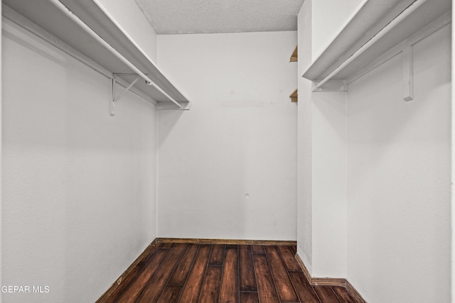 1393 Vista Granada Dr, El Paso, TX 79936 - walk in closet with wood finished floors