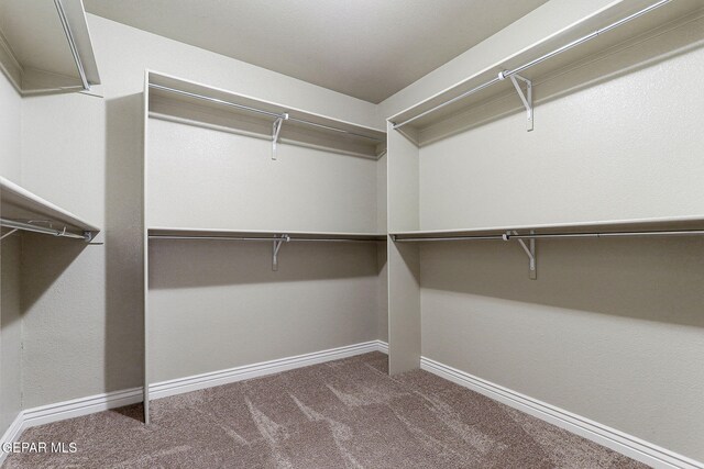 737 Colonial Blf, El Paso, TX 79928 - walk in closet featuring carpet flooring