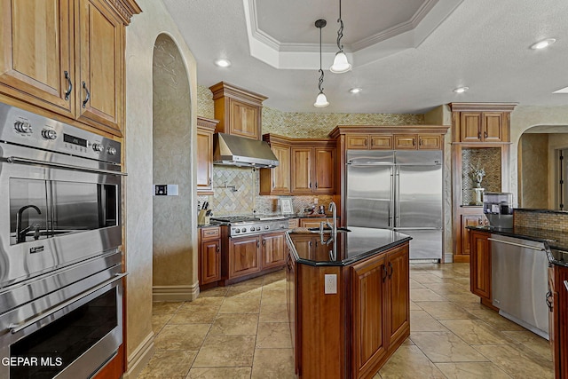 6664 Tuscany Ridge Dr, El Paso, TX 79912 - kitchen featuring appliances with stainless steel finishes, ventilation hood, arched walkways, a tray ceiling, and backsplash