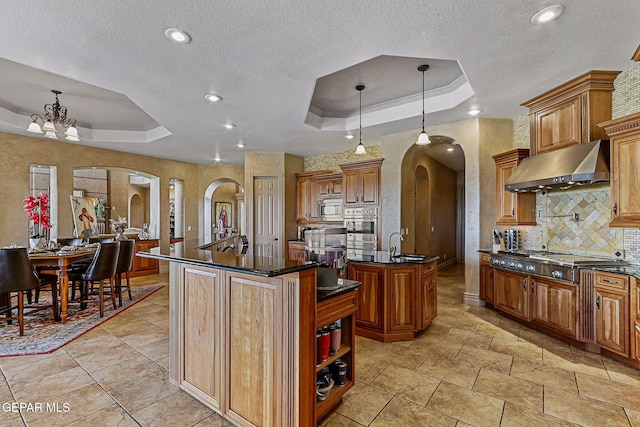 6664 Tuscany Ridge Dr, El Paso, TX 79912 - kitchen featuring arched walkways, a tray ceiling, under cabinet range hood, appliances with stainless steel finishes, and a textured ceiling