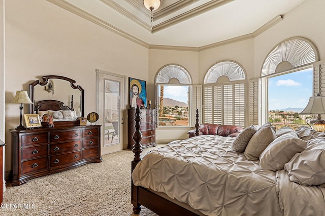 6664 Tuscany Ridge Dr, El Paso, TX 79912 - carpeted bedroom featuring access to exterior, crown molding, and multiple windows