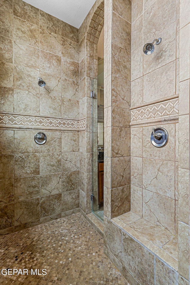 6664 Tuscany Ridge Dr, El Paso, TX 79912 - bathroom featuring a tile shower