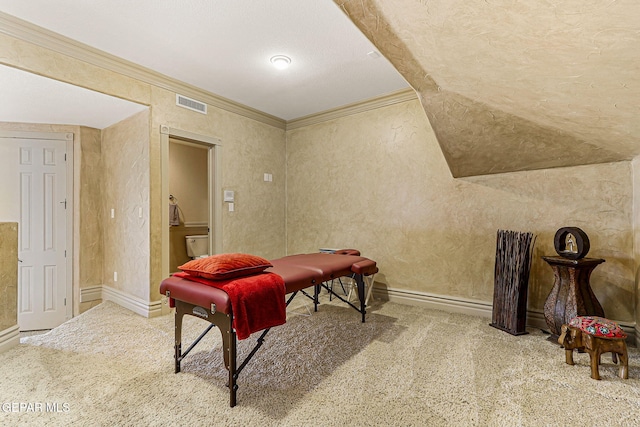 6664 Tuscany Ridge Dr, El Paso, TX 79912 - recreation room featuring carpet, crown molding, baseboards, and vaulted ceiling